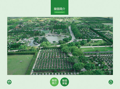 盆花租摆